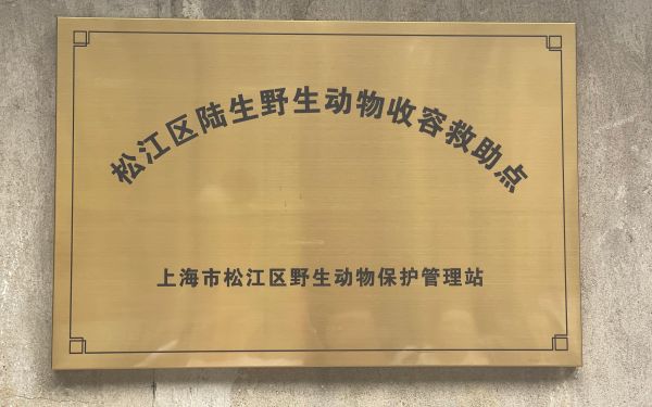 野保1.jpg