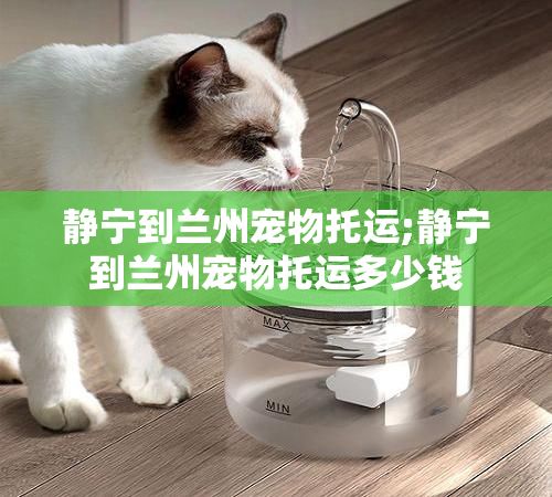 静宁到兰州宠物托运;静宁到兰州宠物托运多少钱