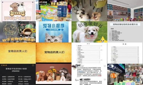 宠物店的男人们目录