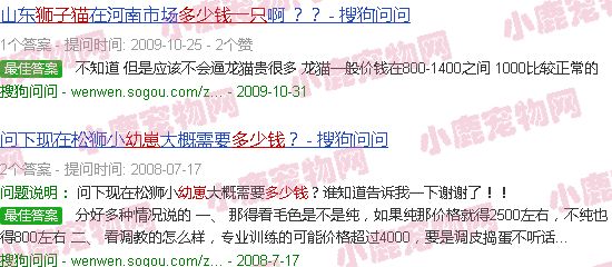 狮子猫多少钱一只 幼崽