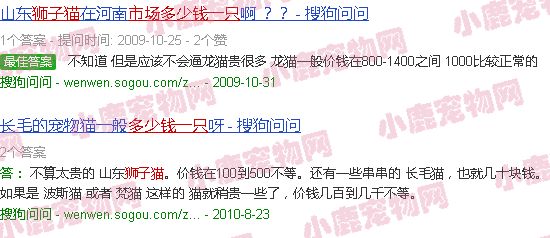 狮子猫多少钱一只市场
