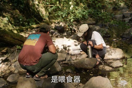 是喂食器