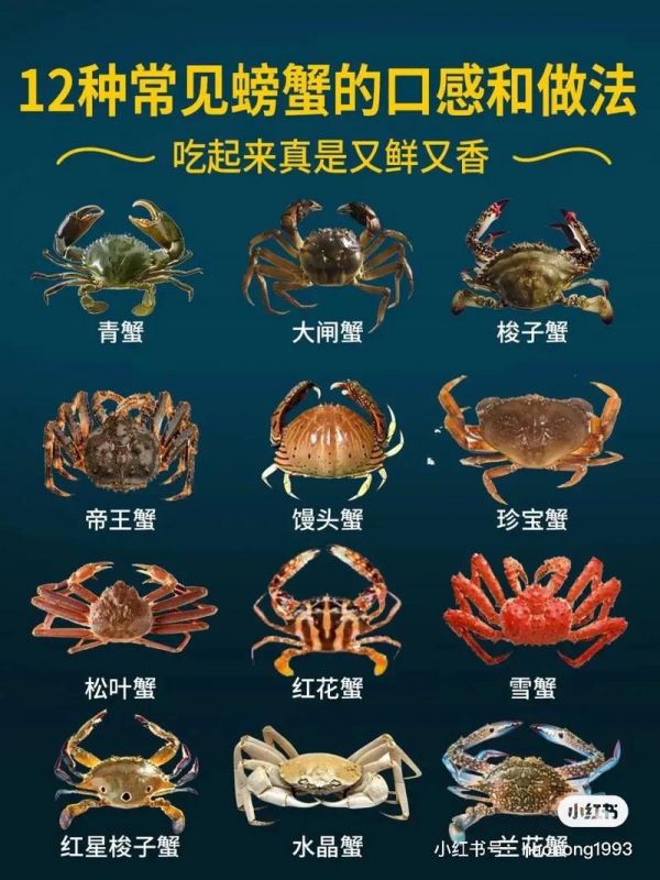 螃蟹吃什么,螃蟹吃什么食物好养活