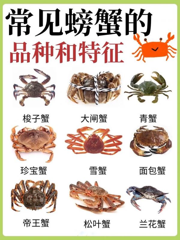螃蟹吃什么,螃蟹吃什么食物好养活