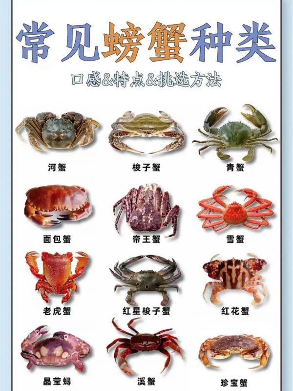螃蟹吃什么,螃蟹吃什么食物好养活