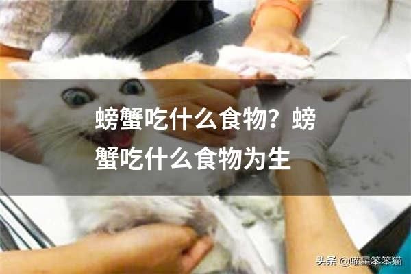 螃蟹吃什么食物？螃蟹吃什么食物为生