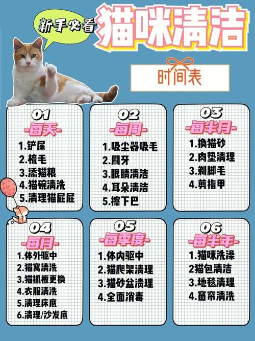 宠物猫一般多久洗一次_宠物猫一般多久洗一次澡比较好