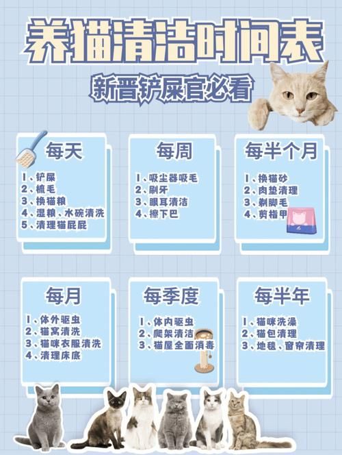 宠物猫一般多久洗一次_宠物猫一般多久洗一次澡比较好