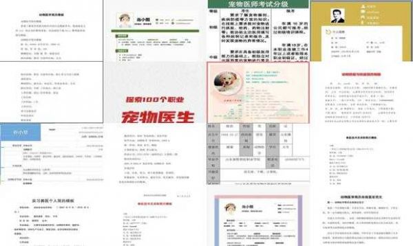 宠物医生的学历要求