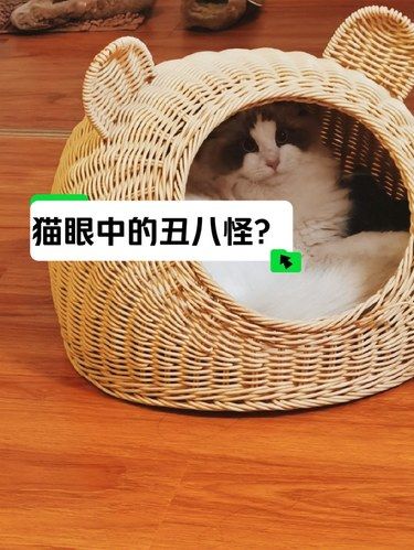 长沙宠物医院天花板‼️24小时营业️