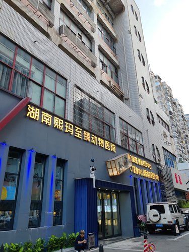 安利一家宠物医院⭕有毛孩子的家长可以考虑⭐