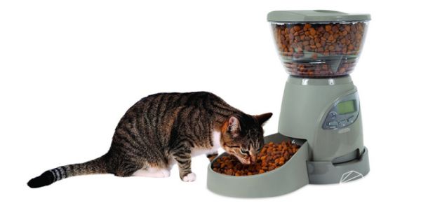 Petmate宠物自动喂食器