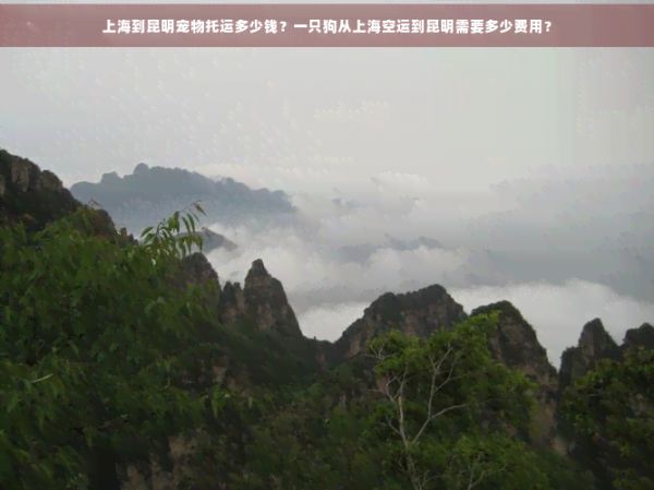 上海到昆明宠物托运多少钱？一只狗从上海空运到昆明需要多少费用？