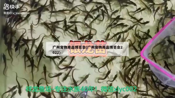 广州宠物用品博览会(广州宠物用品博览会2022)