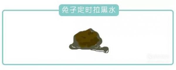 兔子拉肚子拉稀腹泻的治疗方法