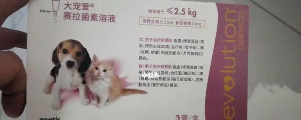 如何安全使用猫咪驱虫药体外幼猫（重要的准备工作和使用技巧）