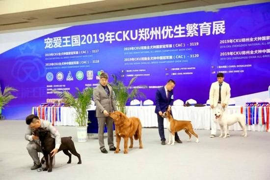宠物行业全覆盖 2019中原宠物展完美收官 明年11月不见不散！