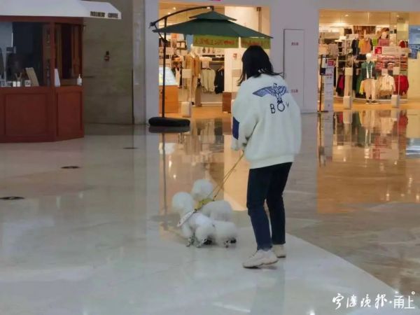 有顾客带宠物逛商场 记者 毛雷君/摄