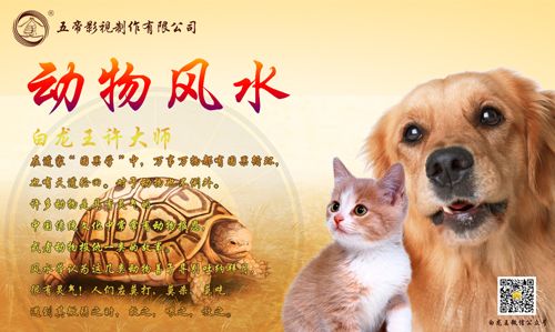 狗狗去世了怎么处理