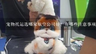 宠物托运选哪家航空公司好？有哪些注意事项？