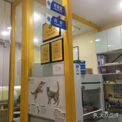 动物诊所英语怎么读的（动物诊所的英文）