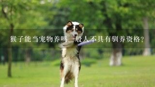 猴子能当宠物养吗一般人不具有驯养资格？