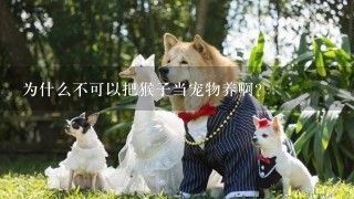 为什么不可以把猴子当宠物养啊？