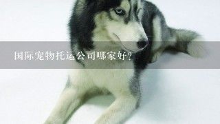 国际宠物托运公司哪家好？