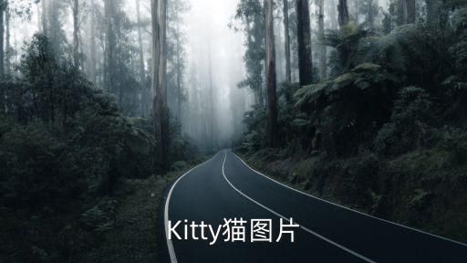 Kitty猫图片