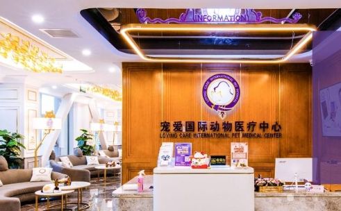 (图源:宠爱国际动物医院官网)