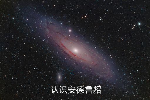  认识安德鲁貂