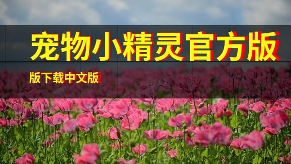 宠物小精灵官方版版下载中文版