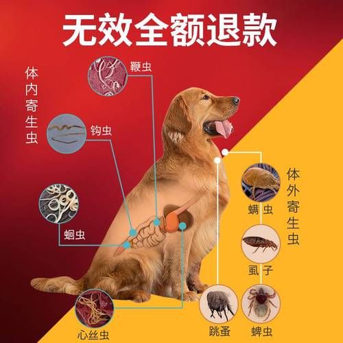 去宠物医院驱虫多少钱？去宠物医院驱虫多少钱消火栓泵与消防水泵？