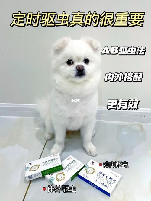 宠物诊所驱虫多少钱，宠物诊所驱虫多少钱1！