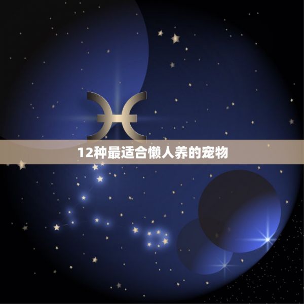 12种最适合懒人养的宠物，懒人适合养的宠物