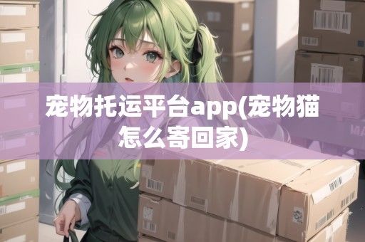 宠物托运平台app(宠物猫怎么寄回家)