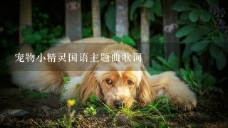 宠物小精灵国语主题曲歌词