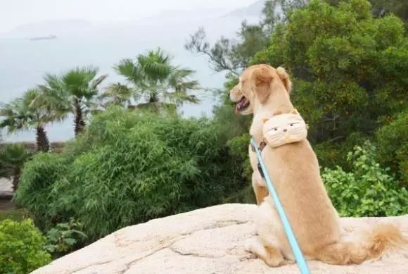 说明: C:Users123456Desktop640.webp.jpg