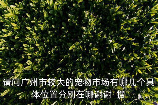 请问广州市较大的宠物市场有哪几个具体位置分别在哪谢谢 搜