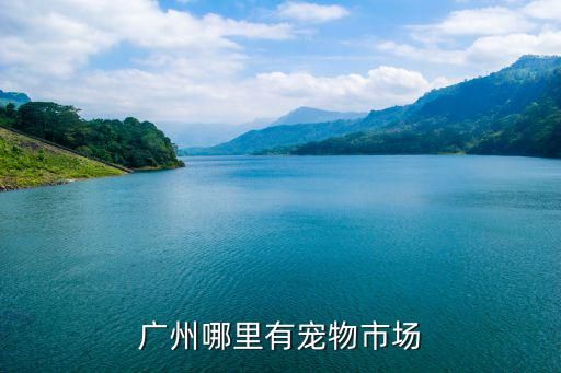 广州哪里有宠物市场