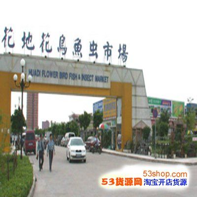 广州市花地花鸟鱼虫批发市场