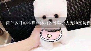 两个多月的小猫咪体内体外驱虫去宠物医院做要多少钱