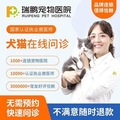 在线宠物医生咨询免费?在线宠物医生咨询免费24小时!
