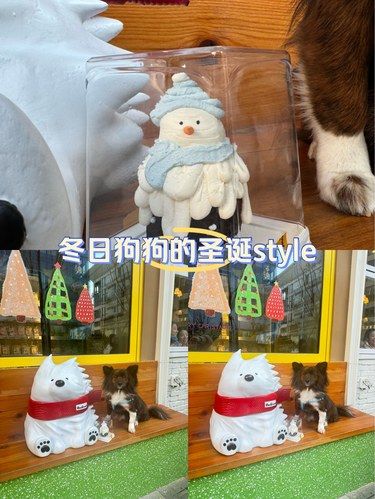 冬日狗狗的圣诞style