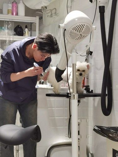 小哥很帅 狗子很白
