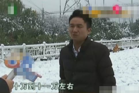 两只狗寄养一年多，宠物店老板曝光要债：狗主人欠了我十多万