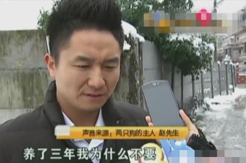 两只狗寄养一年多，宠物店老板曝光要债：狗主人欠了我十多万