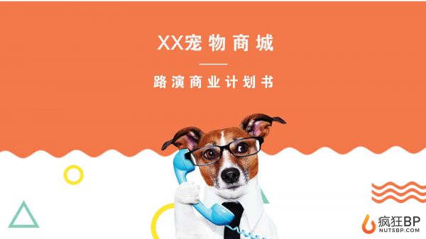 宠物商城（派多多）商业计划书范文