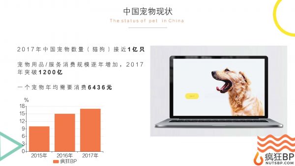 宠物商城（派多多）商业计划书范文