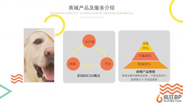 宠物商城（派多多）商业计划书范文